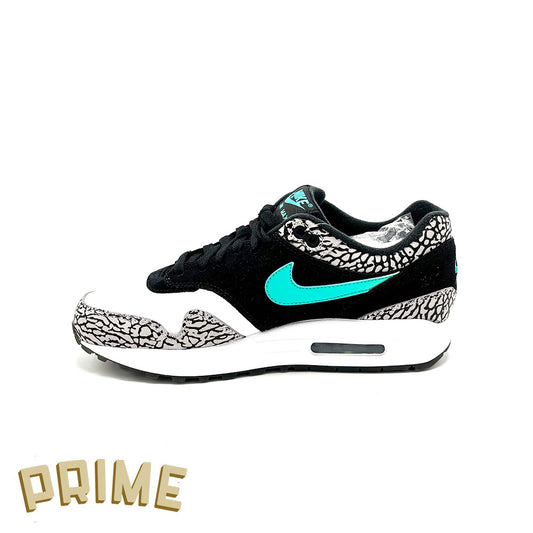 Nike Air Max 1 Atmos x Jordan