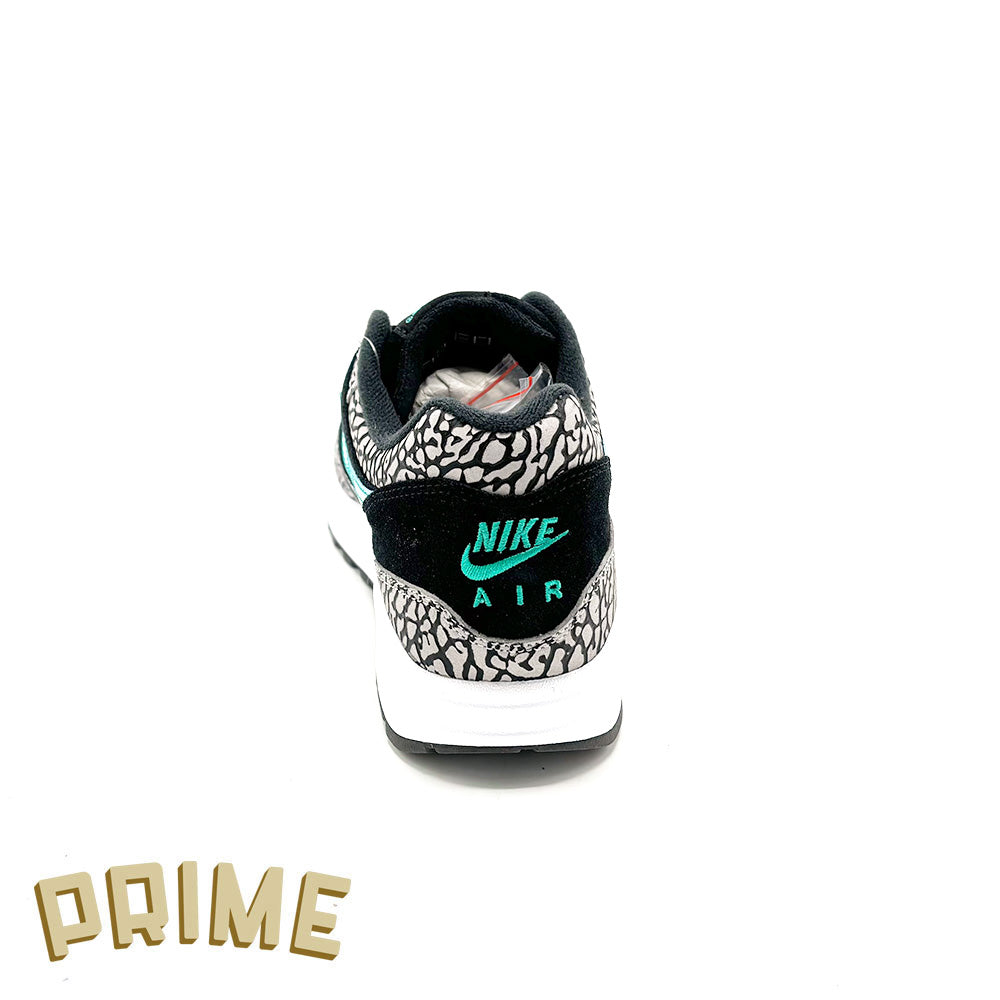 Nike Air Max 1 Atmos x Jordan
