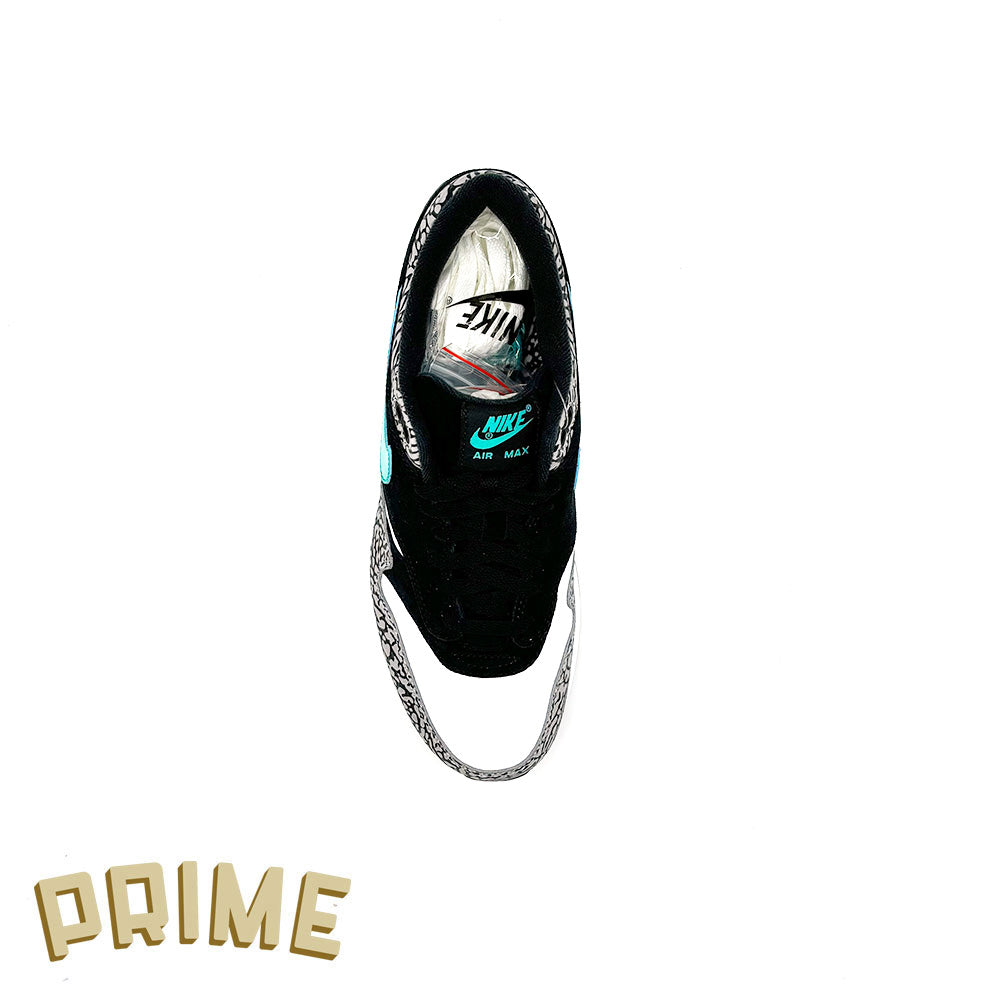 Nike Air Max 1 Atmos x Jordan