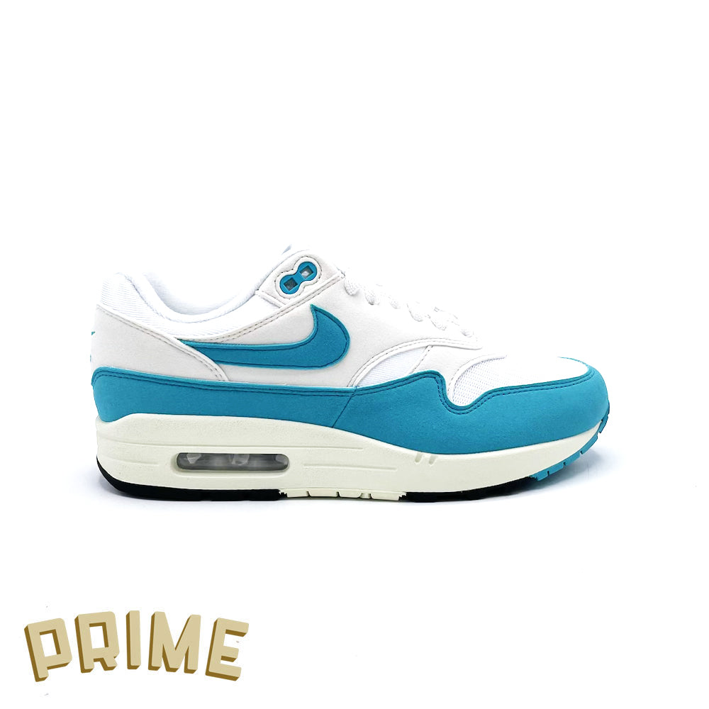 Nike - Air Max 1 - Dusty Cactus (Women's)