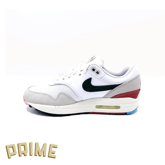 Nike Air Max 1 'All Petals United'