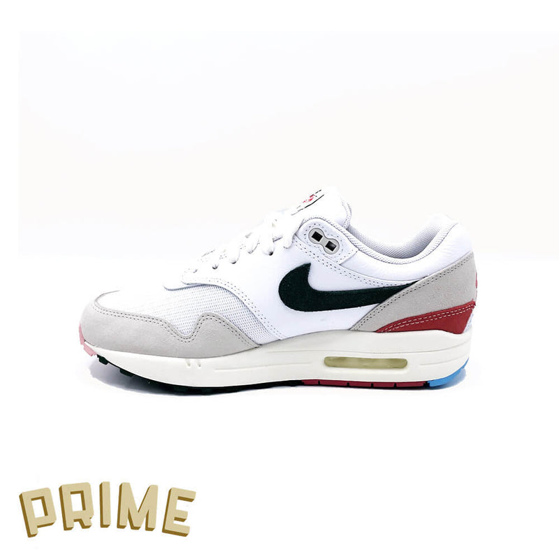 Nike Air Max 1 'All Petals United'