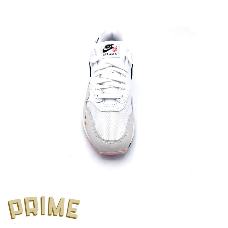 Nike Air Max 1 'All Petals United'